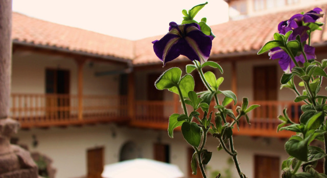 Tupac Yupanqui, Rezerwuj Hotel Cusco City Centre Cuzco