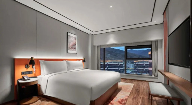 Двухместный люкс Deluxe Hilton Garden Inn Lhasa