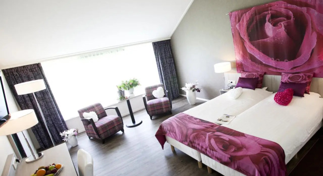 Одноместный номер Standard Best Western Plus Hotel Restaurant Aduard