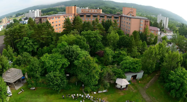 Номер Standard Hotel Daiheigen