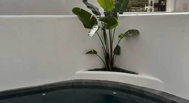Suite Deluxe Erthā Suites with private pools