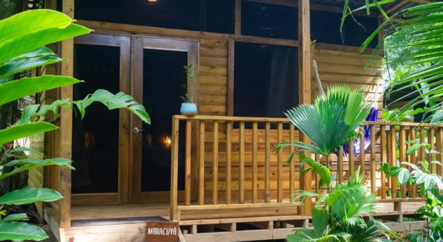Номер Standard Palmar Beach Lodge