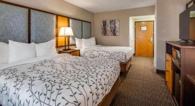 Четырёхместный номер Standard Americinn by Wyndham Birch Run - Frankenmuth