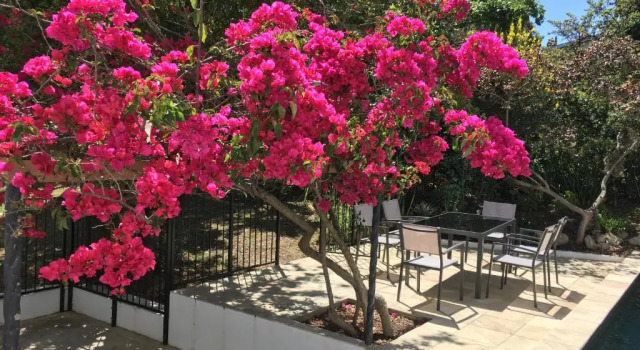 Вилла Villa Honeysuckle Luxury 4 Bedroom