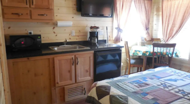 Номер Standard Snake River Cabin Village