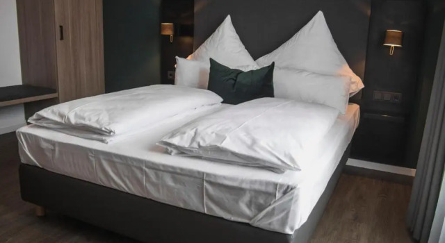 Двухместный номер Standard Hayta Hotel Stuttgart Airport Messe