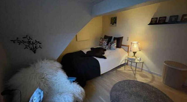 4 Star Holiday Home in Follenslev, Book Feriehus Føllenslev Sjælland