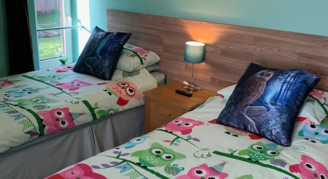 Confort dublă cameră BedrockLodge Buisness Centre HolidayLets