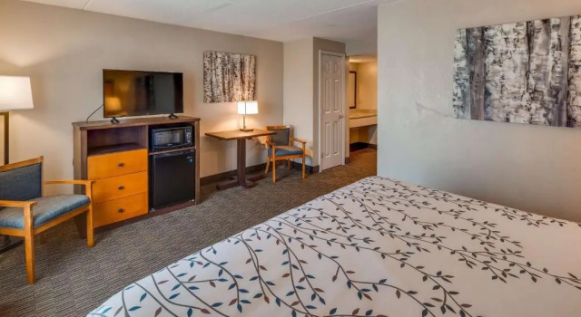 Номер Standard Americinn by Wyndham Birch Run - Frankenmuth