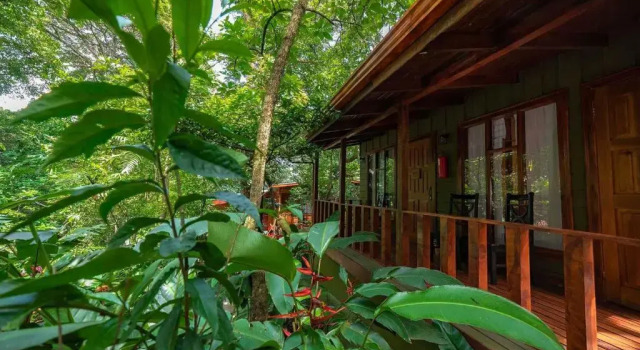 Номер Standard с балконом и с красивым видом из окна Jaguarundi Jungle Lodge - Monteverde