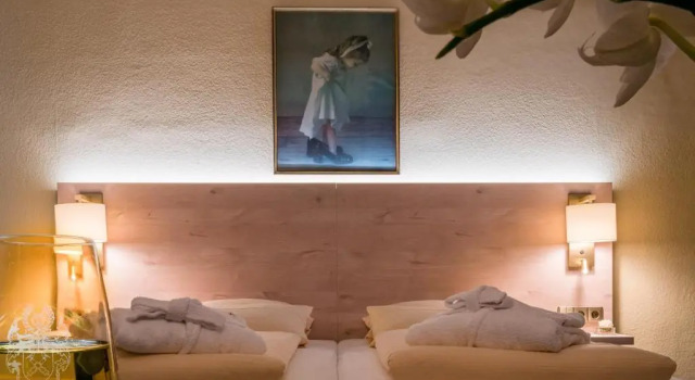 Двухместный номер Comfort Hotel Schloss Hornberg