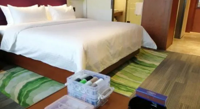 Люкс Hampton by Hilton Qingyang Caihongqiao