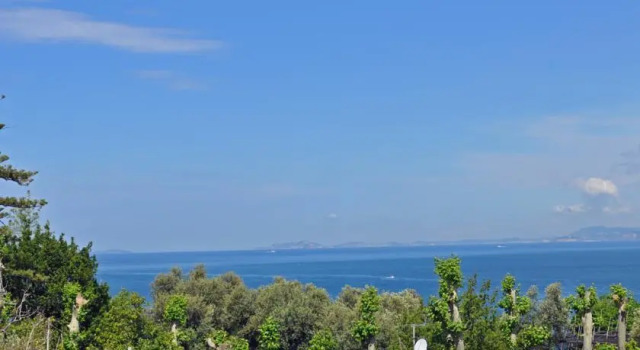Splendid Apt Sea View
