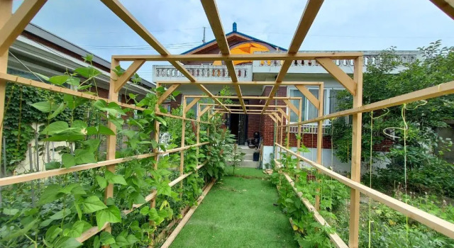 Коттедж Grandmothers Vegetable garden