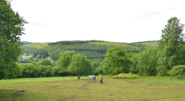 Коттедж Tranquil Ardennes Retreat