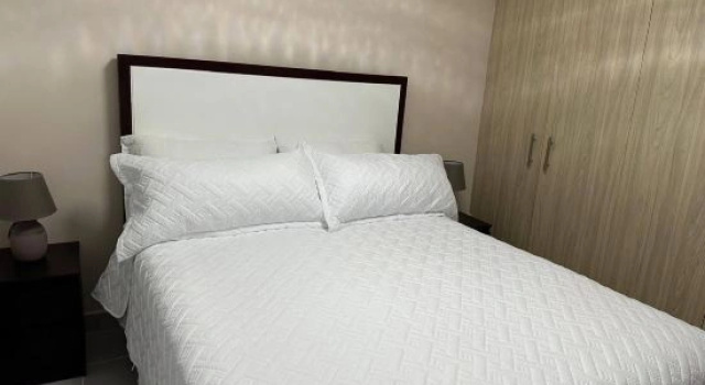 Апартаменты Serene 2-bedroom Apartment With Mountain Views in Santiago