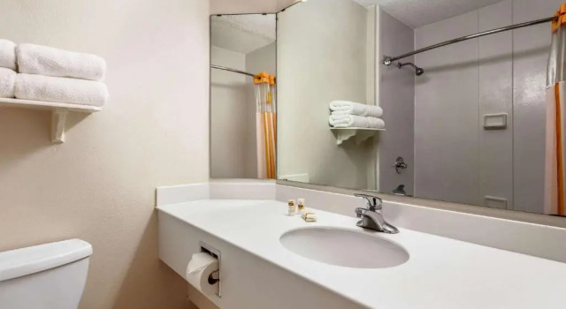 Номер Standard La Quinta by Wyndham St. Pete-Clearwater Airport