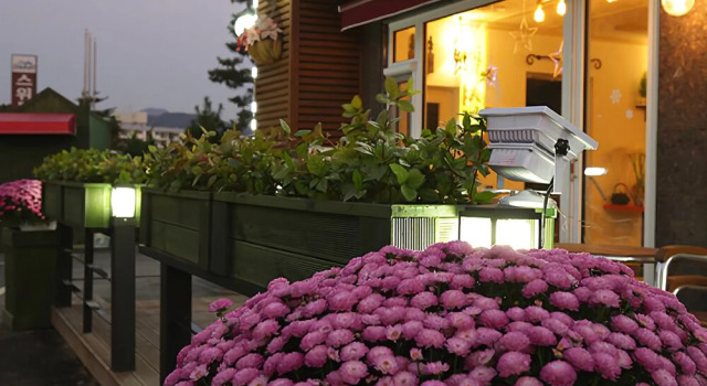 Yongin Caribbean Hue Pension, 预订 酒店 龙仁市 京畿道