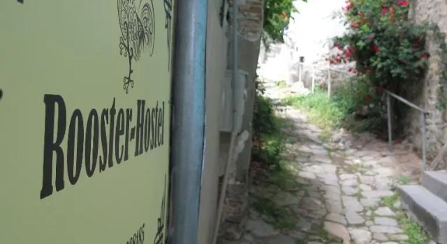 Rooster Hostel