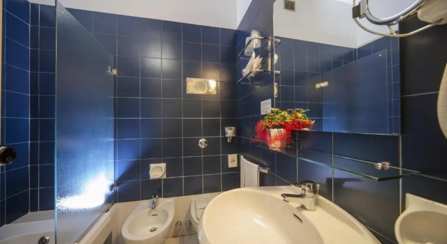 Одноместный номер Hotel Bisanzio