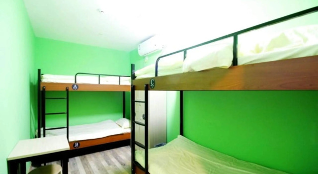 Meet Fish International Youth Hostel