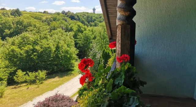 Apartma med vinogradi, Buchen Sie Hostel Hostels in Lendava, Hostel