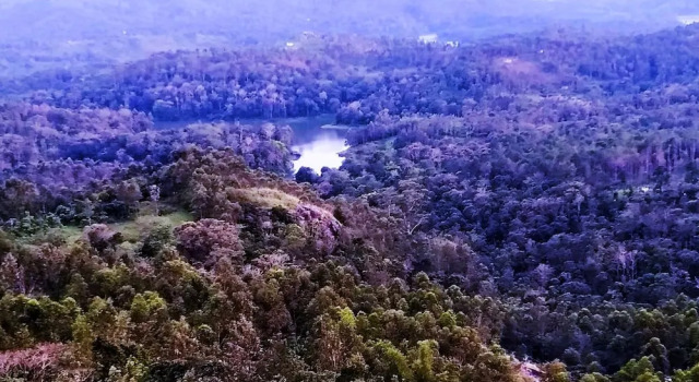 Lake View Camp