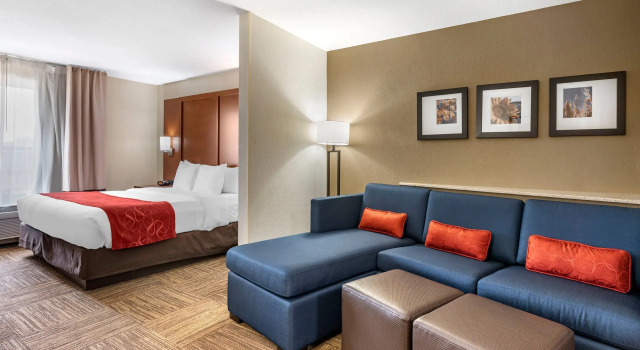 Двухместный люкс Comfort Suites Urbana Champaign, University Area