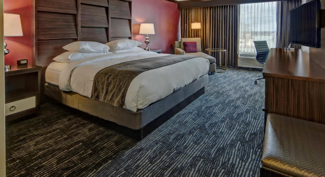Standard Zimmer DoubleTree by Hilton Decatur Riverfront