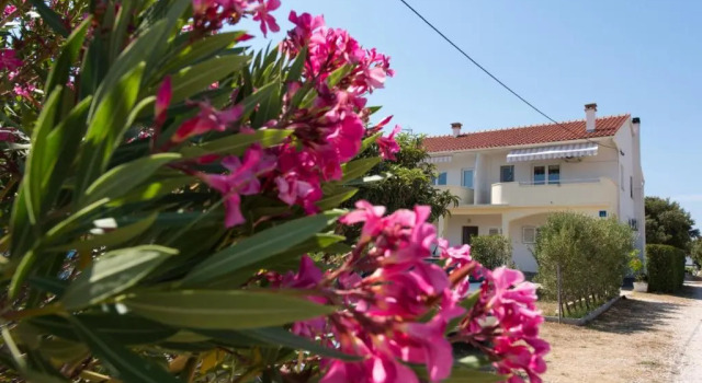 Апартаменты Standard Apartments Maćo