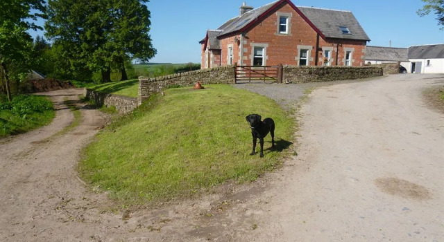 Thorniewhats B&B, Foglalás Bed and Breakfast Canonbie Dumfries and Galloway