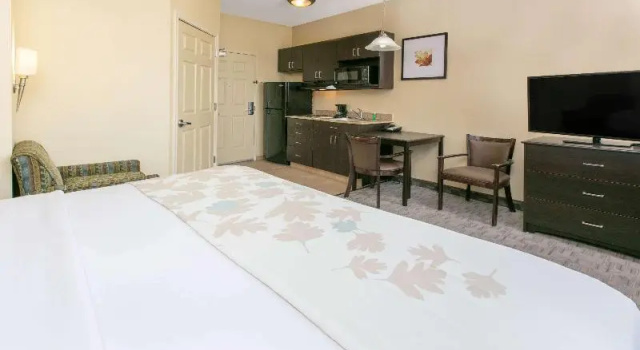 Одноместный номер Standard Spark By Hilton Longview