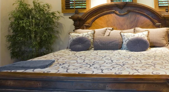 Dignitary Discretion Newport Beach