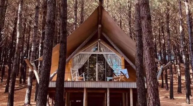 Номер Deluxe Tedesco Eco Park