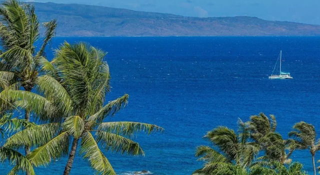 Номер Standard с 2 комнатами Kapalua Ridge Villas-#2212 2 Bedroom Condo