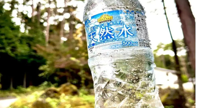 Номер Standard Shimizu Kuniaki’s Paradise of Forest and Lake