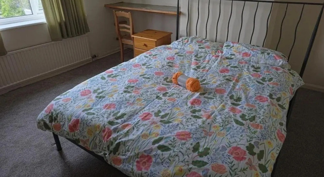 Confortable House Sleeps 7 With Garden and Parking, Prenota Hotel Filton Inghilterra