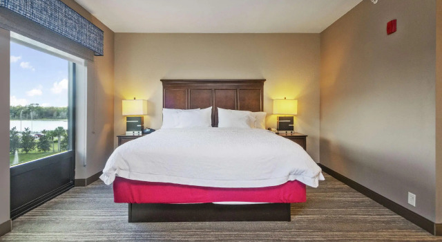 Двухместная студия Hampton Inn & Suites Orlando-Apopka