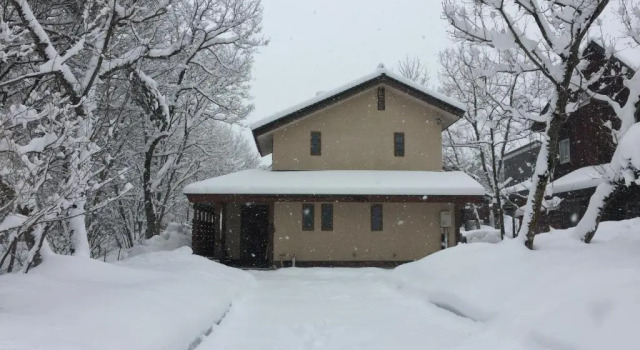 Коттедж Shirokuma Lodge Hakuba