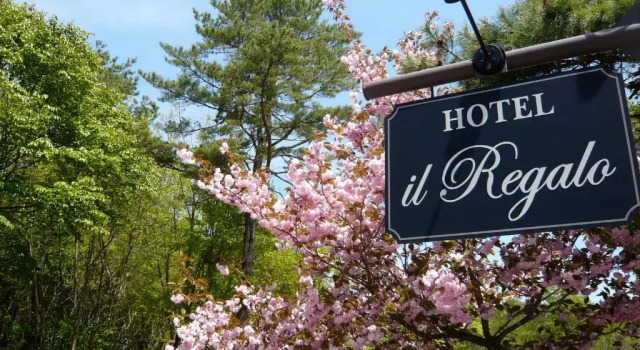Четырёхместный номер Standard Hotel & Ristorante IL Regalo