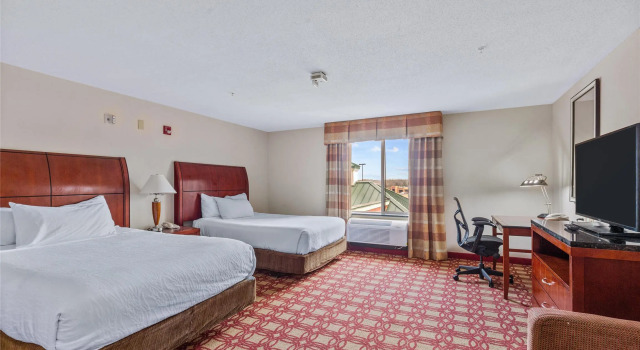 Номер Standard Hilton Garden Inn Starkville