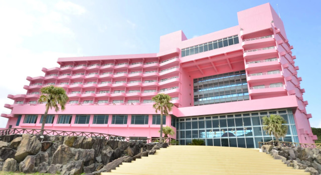 Номер Standard Tanegashima Iwasaki Hotel