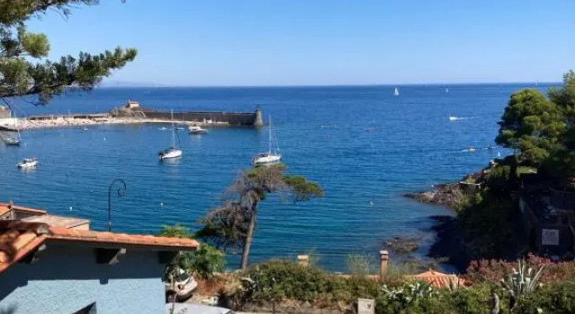 Номер Standard Hotel Le Bon Port