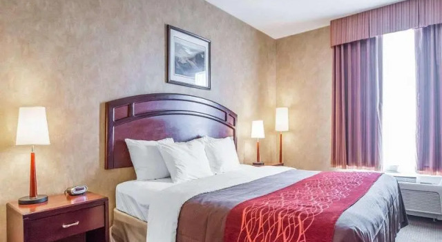 Номер Standard Comfort Inn