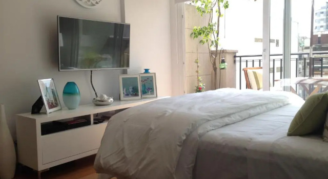 Luxury Apartment Recoleta