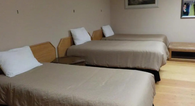 Кровать в общем номере Vernon Hostel