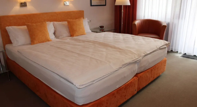 Двухместный номер Standard с балконом Hotel Rebstock