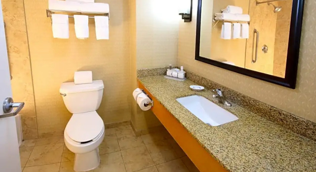 Номер Superior Holiday Inn Express Hotel & Suites CD. Juarez - Las Misiones by IHG