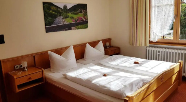Двухместный номер Standard Hotel Walkenstein