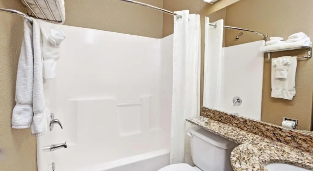 Двухместный номер Deluxe Microtel Inn & Suites by Wyndham Woodstock/Atlanta North